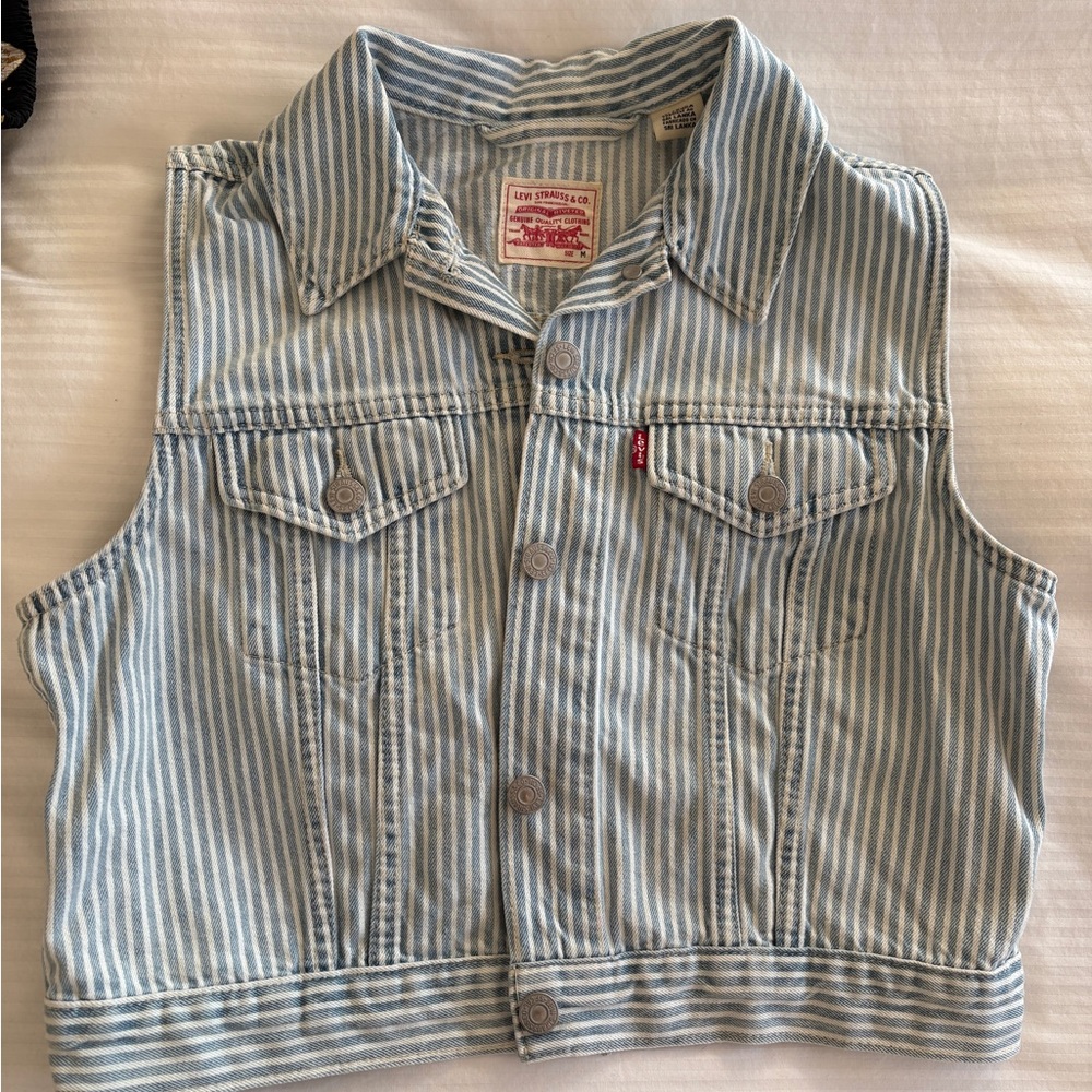 Levi's Blue and White Striped Denim Vest